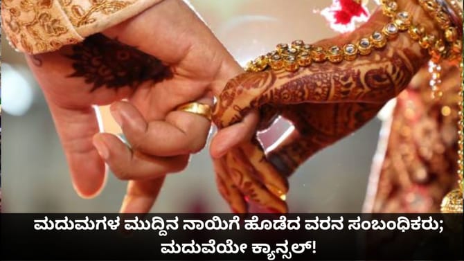 ಮದುಮಗಳ ಮುದ್ದಿನ ನಾಯಿಗೆ ಹೊಡೆದ ವರನ ಸಂಬಂಧಿಕರು; ಮದುವೆಯೇ ಕ್ಯಾನ್ಸಲ್!