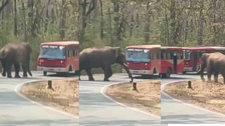 Horoscope Today 27 February​: ಇಂದು ಈ ರಾಶಿಯವರ ಹಳೆಯ ಹೂಡಿಕೆಯಿಂದ ಲಾಭ