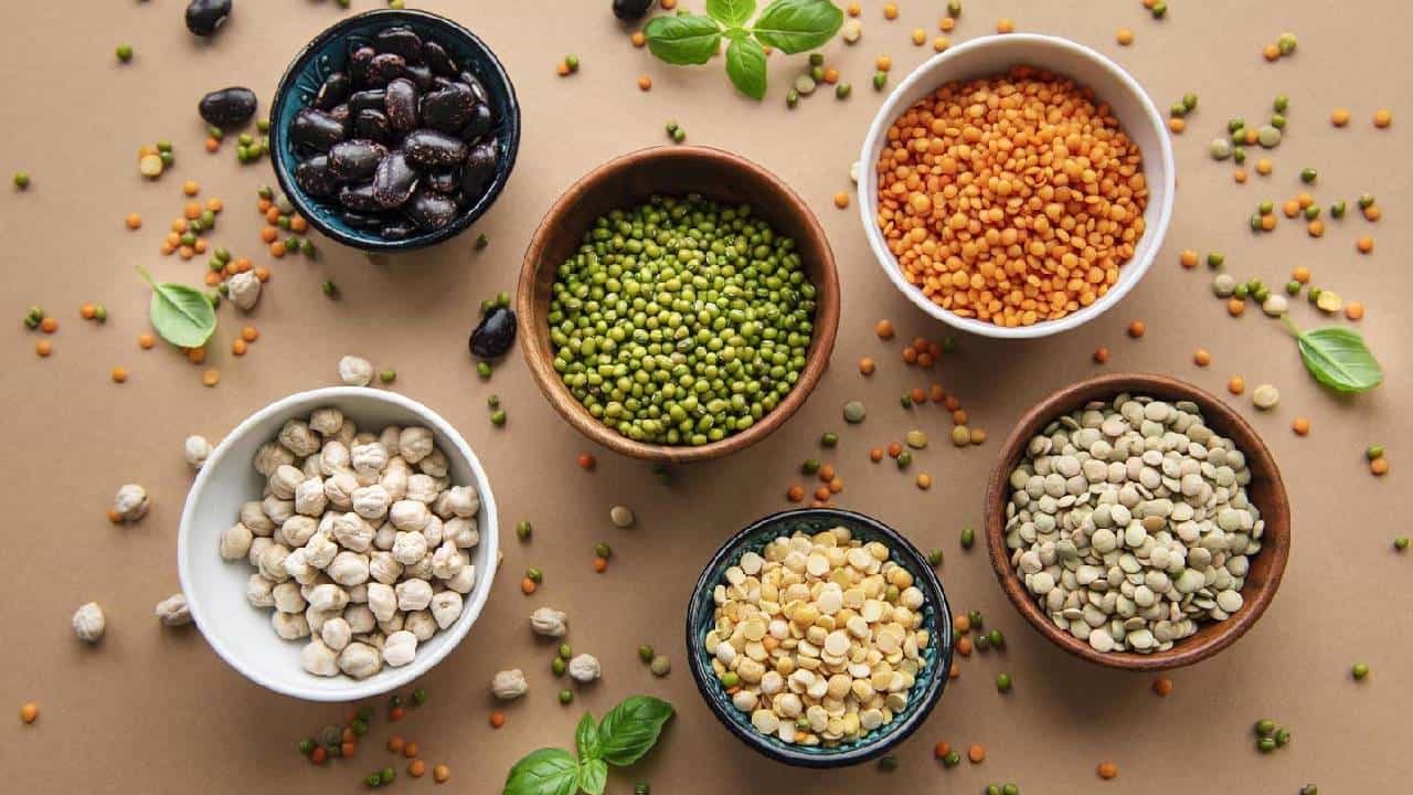World Pulses Day 2026: ದ್ವಿದಳ ಧಾನ್ಯಗಳ ಸೇವನೆ ನಮ್ಮ ಆರೋಗ್ಯ ವೃದ್ಧಿಗೆ ಸಹಕಾರಿ World Pulses Day 2026: ದ್ವಿದಳ ಧಾನ್ಯಗಳ ಸೇವನೆ ನಮ್ಮ ಆರೋಗ್ಯ ವೃದ್ಧಿಗೆ ಸಹಕಾರಿ