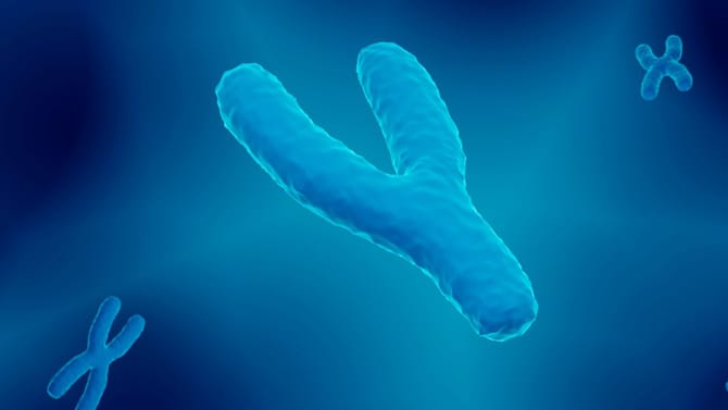 ಪುರುಷರಲ್ಲಿ ವೈ ಕ್ರೋಮೋಸೋಮ್ ಕ್ರಮೇಣ ಕಡಿಮೆಯಾದರೆ ಮುಂದೇನು?