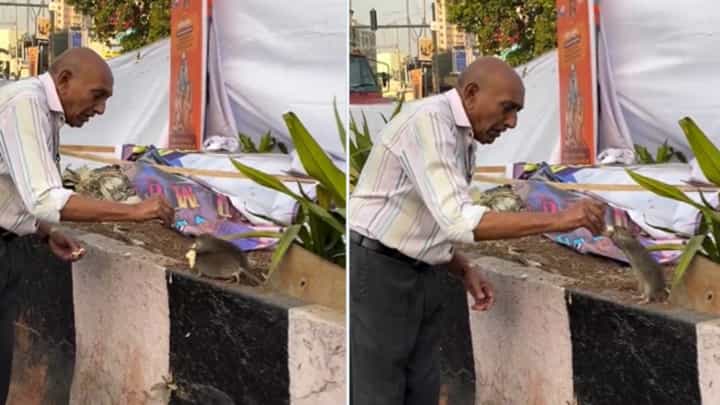 ಇಲಿಗಳಲ್ಲೂ ಅಕ್ಕರೆ ಕಂಡ ವೃದ್ಧ: ಪ್ರೀತಿ ನೀಡಲು ಪ್ರಾಣಿಯೇ ಆಗಬೇಕಿಲ್ಲ, ಮನುಷ್ಯತ್ವವೊಂದಿದ್ದರೆ ಸಾಕು! ಇಲಿಗಳಲ್ಲೂ ಅಕ್ಕರೆ ಕಂಡ ವೃದ್ಧ: ಪ್ರೀತಿ ನೀಡಲು ಪ್ರಾಣಿಯೇ ಆಗಬೇಕಿಲ್ಲ, ಮನುಷ್ಯತ್ವವೊಂದಿದ್ದರೆ ಸಾಕು!