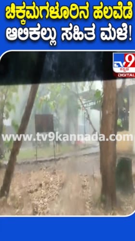 ಚಿಕ್ಕಮಗಳೂರಿನ ಹಲವೆಡೆ ಆಲಿಕಲ್ಲು ಸಹಿತ ಧಾರಾಕಾರ ಮಳೆ