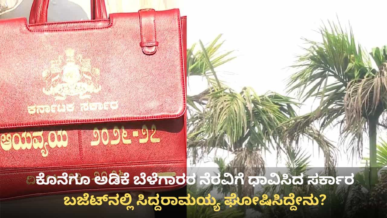 ಅಡಿಕೆ ಬೆಳೆಗಾರರಿಗೆ ಬಜೆಟ್​ನಲ್ಲಿ ಶುಭ ಸುದ್ದಿ: ಎಲೆ ಚುಕ್ಕಿ, ಹಳದಿ ಎಲೆ ರೋಗ ನಿಯಂತ್ರಣಕ್ಕೆ 10 ಕೋಟಿ ರೂ.