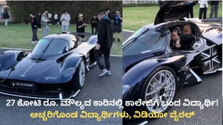 ರಜಾ ದಿನಗಳಲ್ಲಿ ಬೆಕ್ಕುಗಳಿಗೆ ಆಹಾರ ಕೊಟ್ಟು 21 ಲಕ್ಷ ರೂ.ಗಳಿಸಿದ ವ್ಯಕ್ತಿ