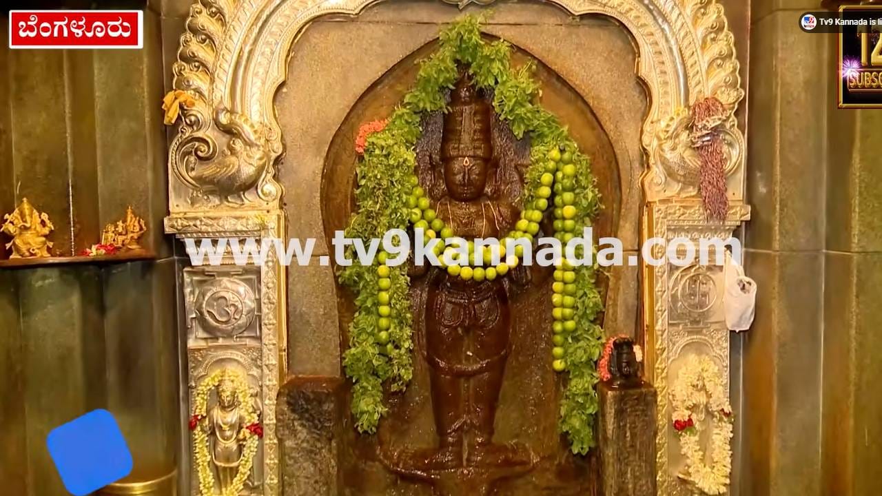 Video: ಬಂಡೆಮಹಾಕಾಳಿ ದೇವಾಲಯಕ್ಕೆ ತಟ್ಟದ ಚಂದ್ರಗ್ರಹಣ; ಕಾಳಿಯ ದರ್ಶನಕ್ಕೆ ಜನವೋ ಜನ! Video: ಬಂಡೆಮಹಾಕಾಳಿ ದೇವಾಲಯಕ್ಕೆ ತಟ್ಟದ ಚಂದ್ರಗ್ರಹಣ; ಕಾಳಿಯ ದರ್ಶನಕ್ಕೆ ಜನವೋ ಜನ!