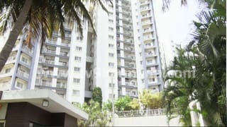 ನಮ್ಮ ಮೆಟ್ರೋ ಪಿಂಕ್​​ ಲೈನ್​​ ಆರಂಭಕ್ಕೆ ಭರದ ಸಿದ್ಧತೆ: ನಾಳೆಯಿಂದ ಪರಿಶೀಲನಾ ಕಾರ್ಯ ಶುರು