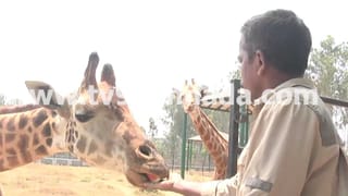 ಬುರ್ಖಾ ಧರಿಸಿ ಹೋಳಿ ಆಚರಣೆ: ಅಪಮಾನ ಮಾಡಿದ್ದಾರೆಂದು ದಲಿತ ಮುಖಂಡ ದೂರು