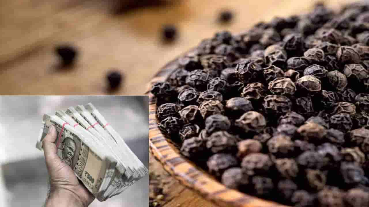 Black Pepper Remedies: ಆರ್ಥಿಕ ಸಮಸ್ಯೆಯಿಂದ ಮುಕ್ತಿ ಪಡೆಯಲು ಕರಿಮೆಣಸು ಬಳಸಿ ಈ ಪರಿಹಾರ ಮಾಡಿ