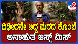 ಬೇಲೂರು: ಪಟಾಕಿ ಸಿಡಿಸಿದ್ದರಿಂದ ರೊಚ್ಚಿಗೆದ್ದ ಕಾಡಾನೆ ಮನೆ ಮುಂದೆ ನಿಲ್ಲಿಸಿದ್ದ ಆಟೋವನ್ನು ಮಾಡಿದ್ದೇನು ನೋಡಿ!