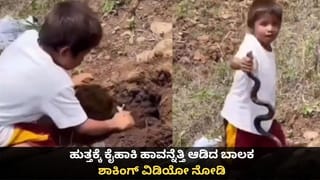 ಬೊಮ್ಮನಹಳ್ಳಿಯಲ್ಲಿ ಉಚಿತ ಕೋಳಿ ವಿತರಣೆ ಮಾಡಿದ ಕಾಂಗ್ರೆಸ್​​​ ನಾಯಕ : ಜನರ ಸಾಗರ!