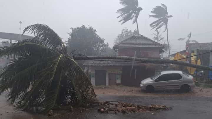 ಕಾಫಿನಾಡಿನಲ್ಲಿ ವರುಣನ ಅಬ್ಬರ: ಬಿರುಗಾಳಿ ಸಹಿತ ಧಾರಾಕಾರ ಮಳೆ, ಮೂಡಿಗೆರೆ ರಸ್ತೆಗಳು ಜಲಾವೃತ! ಕಾಫಿನಾಡಿನಲ್ಲಿ ವರುಣನ ಅಬ್ಬರ: ಬಿರುಗಾಳಿ ಸಹಿತ ಧಾರಾಕಾರ ಮಳೆ, ಮೂಡಿಗೆರೆ ರಸ್ತೆಗಳು ಜಲಾವೃತ!