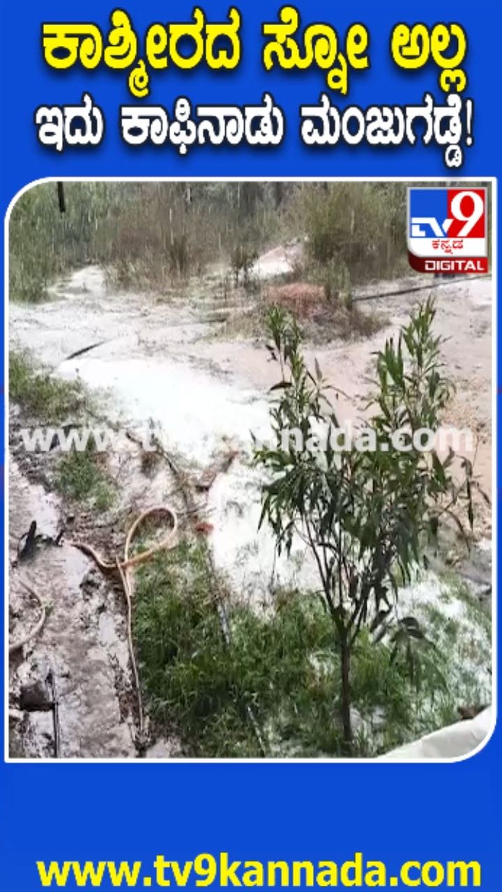 ಆಲಿಕಲ್ಲು ಮಳೆಗೆ ಬೆಚ್ಚಿದ ಕಾಫಿನಾಡ ಮಂದಿ