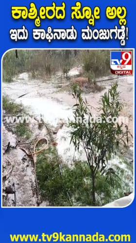 ಆಲಿಕಲ್ಲು ಮಳೆಗೆ ಬೆಚ್ಚಿದ ಕಾಫಿನಾಡ ಮಂದಿ