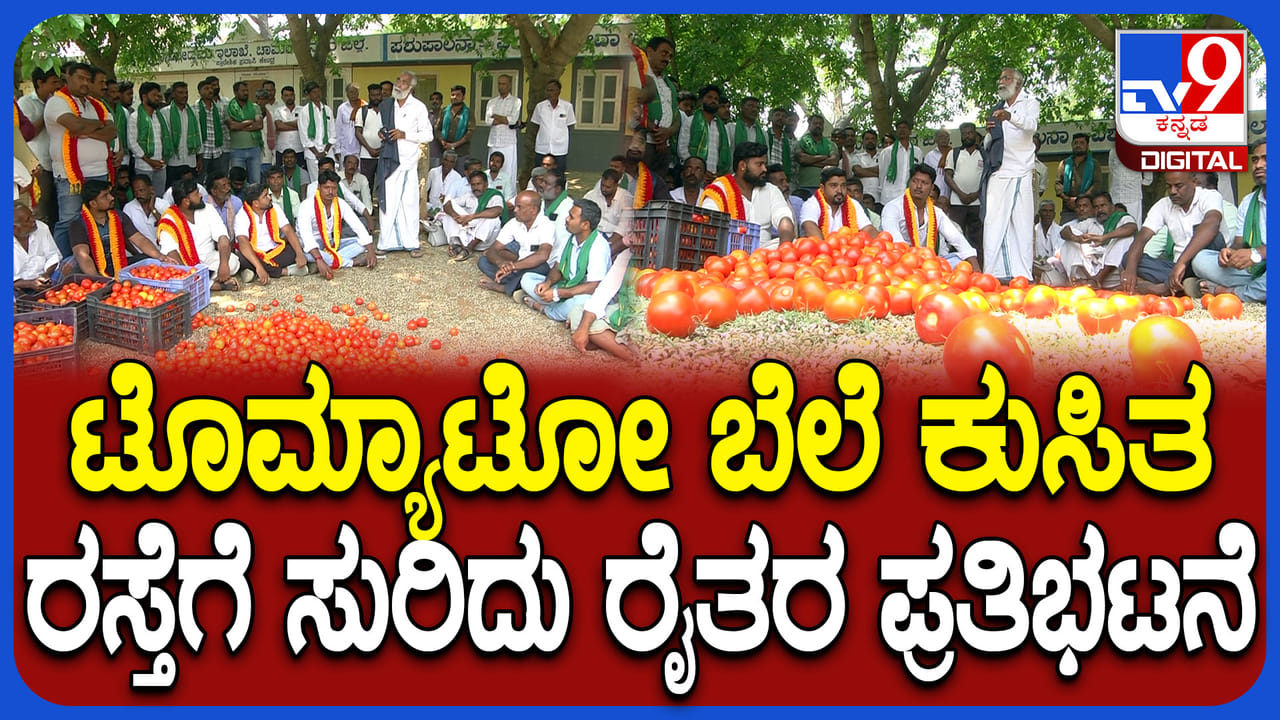 ಟೊಮೆಟೊ ಬೆಲೆ ಕುಸಿತ: ರೈತರಿಂದ ರಸ್ತೆಗೆ ಟೊಮೆಟೊ ಸುರಿದು ಆಕ್ರೋಶ ಟೊಮೆಟೊ ಬೆಲೆ ಕುಸಿತ: ರೈತರಿಂದ ರಸ್ತೆಗೆ ಟೊಮೆಟೊ ಸುರಿದು ಆಕ್ರೋಶ