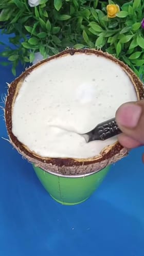 ಮನೆಯಲ್ಲೇ ಮಾಡಿ ಮಕ್ಕಳಿಗೆ ಇಷ್ಟವಾಗೋ ತೆಂಗಿನಕಾಯಿ ಐಸ್ ಕ್ರೀಮ್ 