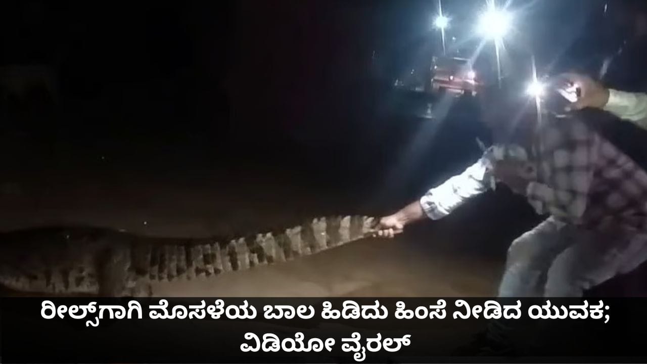 ರೀಲ್ಸ್‌ಗಾಗಿ ಮೊಸಳೆಯ ಬಾಲ ಹಿಡಿದು ಹಿಂಸೆ ನೀಡಿದ ಯುವಕ; ವಿಡಿಯೋ ವೈರಲ್