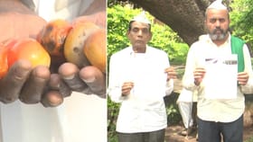 ಕೇಳೋರಿಲ್ಲ ಬೀದರ್​​ ರೈತರ ಗೋಳು: ಬೆಳೆ ವಿಮೆ ಹೆಸರಲ್ಲಿ ಭಾರೀ ಮೋಸ