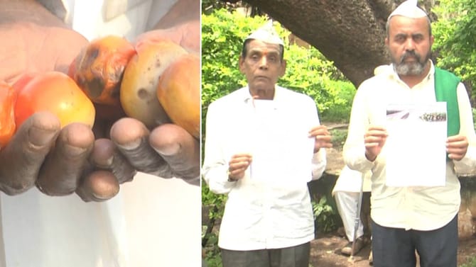 ಕೇಳೋರಿಲ್ಲ ಬೀದರ್​​ ರೈತರ ಗೋಳು: ಬೆಳೆ ವಿಮೆ ಹೆಸರಲ್ಲಿ ಭಾರೀ ಮೋಸ