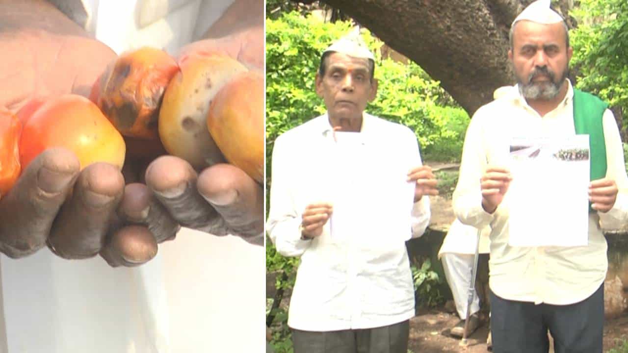 ಕೇಳೋರಿಲ್ಲ ಬೀದರ್ ರೈತರ ಗೋಳು: ಬೆಳೆ ವಿಮೆ ಹೆಸರಲ್ಲಿ ಭಾರೀ ಮೋಸ ಕೇಳೋರಿಲ್ಲ ಬೀದರ್ ರೈತರ ಗೋಳು: ಬೆಳೆ ವಿಮೆ ಹೆಸರಲ್ಲಿ ಭಾರೀ ಮೋಸ