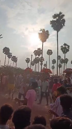 ನಾಯಿಗಳನ್ನು ಆಕಾಶದೆತ್ತರಕ್ಕೆ ಎತ್ತಿ ಎಸೆಯುವ ಇದೆಂಥಾ ಆಚರಣೆ