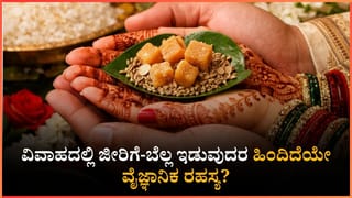 ತುಳಸಿ ಕಟ್ಟೆಗೆ ಎಷ್ಟು ಪ್ರದಕ್ಷಿಣೆ ಹಾಕಬೇಕು? ಪ್ರತೀ ಸುತ್ತಿನ ಹಿಂದಿನ ಮಹತ್ವ ಇಲ್ಲಿ ತಿಳಿಯಿರಿ