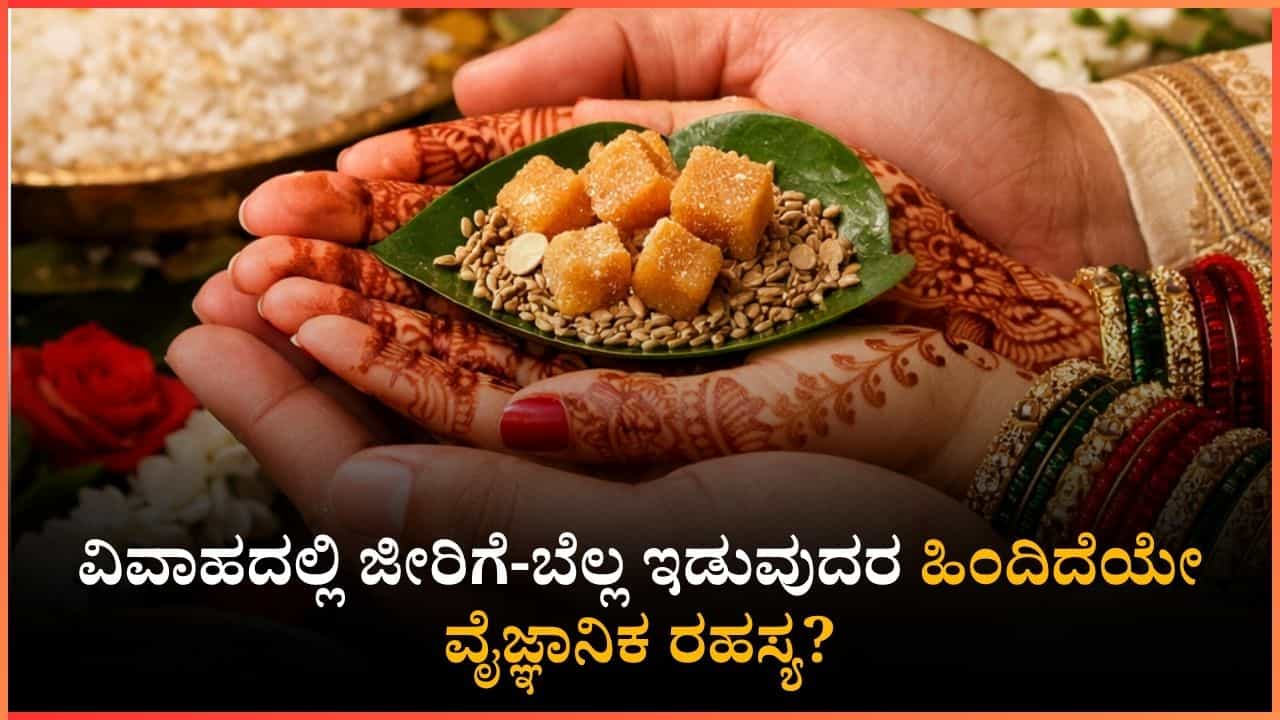 ಮದುವೆಯಲ್ಲಿ ಜೀರಿಗೆ ಬೆಲ್ಲ ಏಕಿರಬೇಕು? ದಂಪತಿಗಳ ಬದುಕಿನಲ್ಲಿ ಬದಲಾವಣೆ ತರುವ ಈ ಶಾಸ್ತ್ರದ ಹಿಂದಿನ ಅಸಲಿ ಸತ್ಯ ಏನು? ಮದುವೆಯಲ್ಲಿ ಜೀರಿಗೆ ಬೆಲ್ಲ ಏಕಿರಬೇಕು? ದಂಪತಿಗಳ ಬದುಕಿನಲ್ಲಿ ಬದಲಾವಣೆ ತರುವ ಈ ಶಾಸ್ತ್ರದ ಹಿಂದಿನ ಅಸಲಿ ಸತ್ಯ ಏನು?