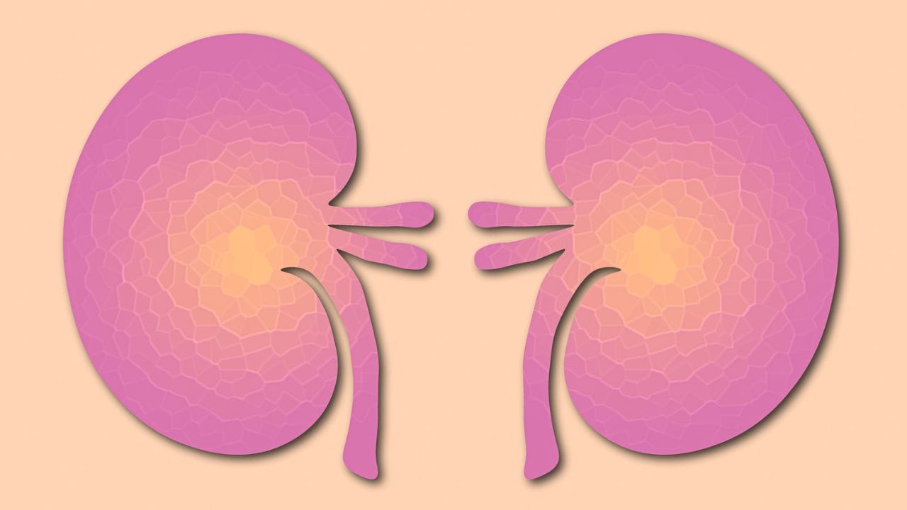 ಕಿಡ್ನಿ ಆರೋಗ್ಯವಾಗಿ ಇರಬೇಕು ಅಂದ್ರೆ ಆರೋಗ್ಯ ತಜ್ಞರು ಹೇಳಿದ ಈ ಅಭ್ಯಾಸಗಳನ್ನು ತೆಗೆದುಕೊಳ್ಳಲೇಬೇಕು!