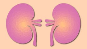 ಕಿಡ್ನಿ ಆರೋಗ್ಯವಾಗಿರಬೇಕೇ? ಹಾಗಿದ್ರೆ ಈ ಸಲಹೆಗಳನ್ನು ತಪ್ಪದೆ ಅನುಸರಿಸಿ