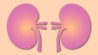 World Sleep Day 2026: ಆಹಾರ, ವ್ಯಾಯಾಮದಷ್ಟೇ ಉತ್ತಮ ನಿದ್ರೆಯೂ ನಮ್ಮ ಆರೋಗ್ಯಕ್ಕೆ ಅತ್ಯಗತ್ಯ