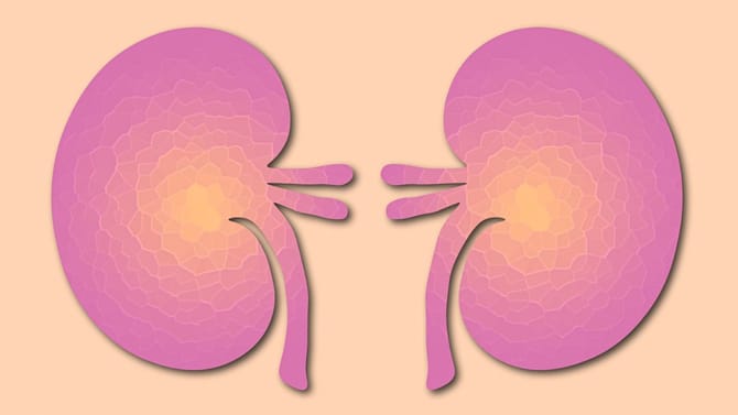 ಕಿಡ್ನಿ ಆರೋಗ್ಯವಾಗಿರಬೇಕೇ? ಹಾಗಿದ್ರೆ ಈ ಸಲಹೆಗಳನ್ನು ತಪ್ಪದೆ ಅನುಸರಿಸಿ