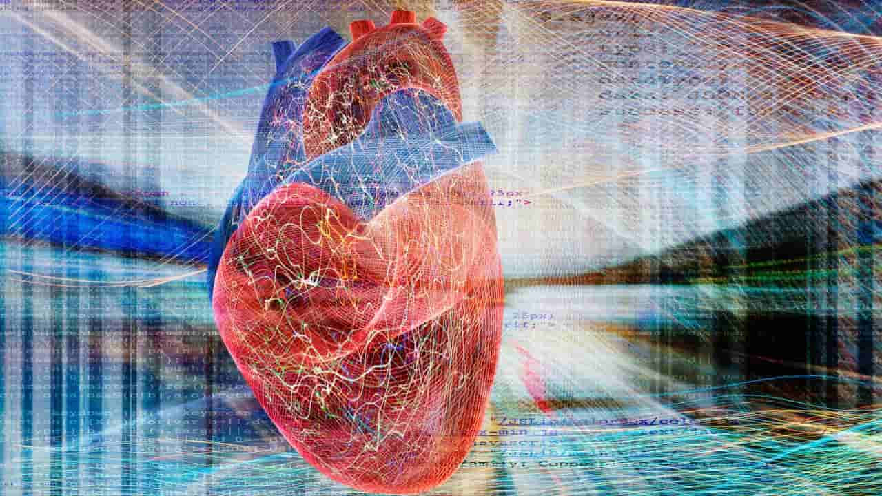 ಈ ಆಹಾರಗಳ ಸೇವನೆ ಹೃದಯಕ್ಕೆ ಅತ್ಯಂತ ಅಪಾಯಕಾರಿ; ತಿನ್ನುವ ಮೊದಲು ಇರಲಿ ಎಚ್ಚರ!