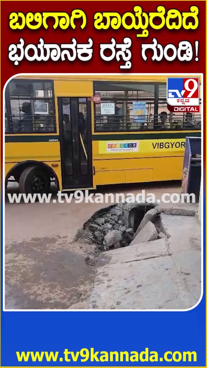 ಬಲಿಗಾಗಿ ಬಾಯ್ತೆರೆದಿದೆ ಭಯಾನಕ ರಸ್ತೆ ಗುಂಡಿ