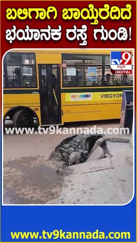 ಬಲಿಗಾಗಿ ಬಾಯ್ತೆರೆದಿದೆ ಭಯಾನಕ ರಸ್ತೆ ಗುಂಡಿ