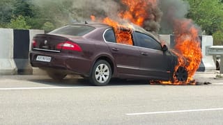 ಗ್ಯಾಸ್ ಟ್ರಬಲ್: ನಾಡಿನಿಂದ ಕಾಡಿಗೆ, ಅರಣ್ಯದಲ್ಲಿ ಸೌದೆಗಾಗಿ ಮುಗಿಬಿದ್ದ ಜನ