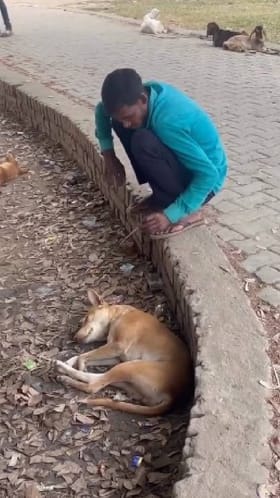 ಏಯ್ ಯಾರೋ ಅದು ಕಾಟ ಕೊಡೋದು, ಚೂರು ನಿದ್ರೆ ಮಾಡ್ತೀನಿ ಬಿಡ್ರೋ