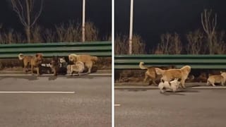 ‘ಡಾರ್ಲಿಂಗ್ ಕೃಷ್ಣಗೆ ಕತೆ ಹೇಳಿದ್ದೆ, ಈಗ ಮರ್ತೋಗಿದೆ ಅಂತಿದ್ದಾರೆ’