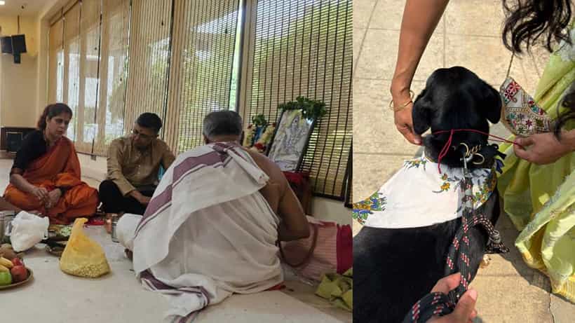 ಬೀದಿ ನಾಯಿ, ಸಾಕು ನಾಯಿಗಳಿಗಾಗಿ ವಿಶೇಷ ಪೂಜೆ! ಅಪಾರ್ಟ್ಮೆಂಟ್ ನಿವಾಸಿಗಳಿಂದ ಕಾಲಭೈರವ, ದತ್ತಾತ್ರೇಯ ಪೂಜೆ
