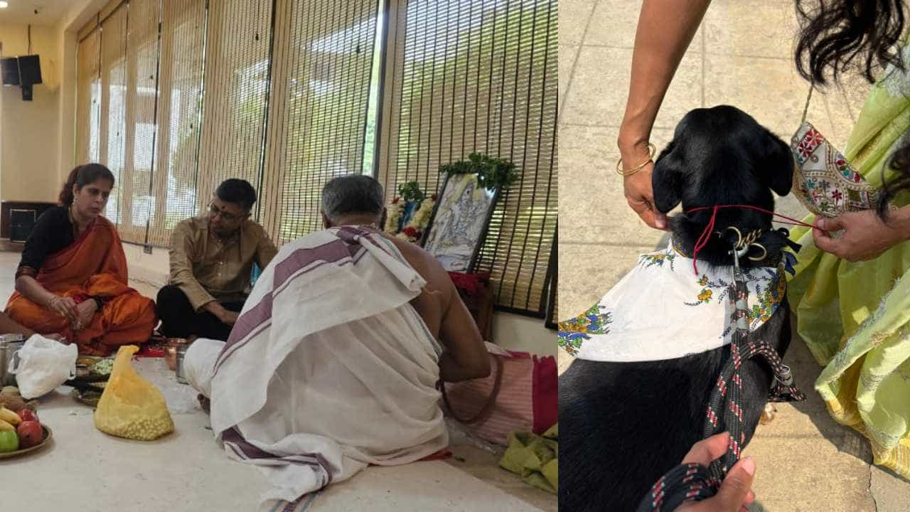 ಬೀದಿ ನಾಯಿ, ಸಾಕು ನಾಯಿಗಳಿಗಾಗಿ ವಿಶೇಷ ಪೂಜೆ! ಅಪಾರ್ಟ್ಮೆಂಟ್ ನಿವಾಸಿಗಳಿಂದ ಕಾಲಭೈರವ, ದತ್ತಾತ್ರೇಯ ಪೂಜೆ ಬೀದಿ ನಾಯಿ, ಸಾಕು ನಾಯಿಗಳಿಗಾಗಿ ವಿಶೇಷ ಪೂಜೆ! ಅಪಾರ್ಟ್ಮೆಂಟ್ ನಿವಾಸಿಗಳಿಂದ ಕಾಲಭೈರವ, ದತ್ತಾತ್ರೇಯ ಪೂಜೆ