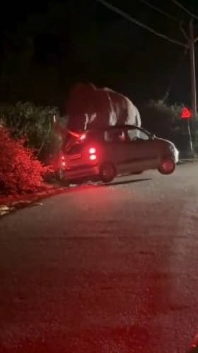 ಕಾರಿನ ಮೇಲೆ ಆನೆಯ ದಾಳಿ, ಗಾಜು ಪುಡಿ ಪುಡಿ