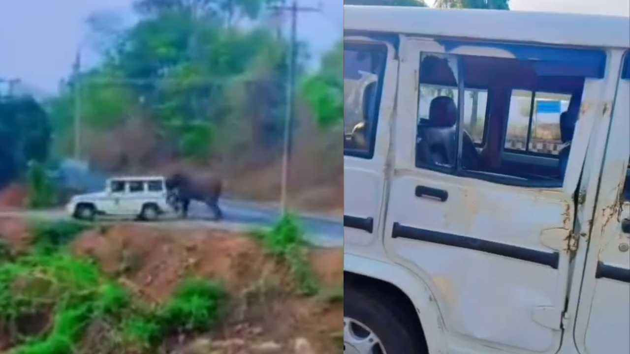 ಅರಣ್ಯ ಇಲಾಖೆ ಜೀಪನ್ನೇ ಅಟ್ಟಾಡಿಸಿ ಅಟ್ಯಾಕ್ ಮಾಡಿದ ಕಾಡಾನೆ! ಡ್ರೈವರ್ ಜಸ್ಟ್ ಮಿಸ್, ವೀಡಿಯೋ ನೋಡಿ