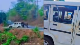 ಅರಣ್ಯ ಇಲಾಖೆ ಜೀಪನ್ನೇ ಅಟ್ಟಾಡಿಸಿ ಅಟ್ಯಾಕ್ ಮಾಡಿದ ಕಾಡಾನೆ!