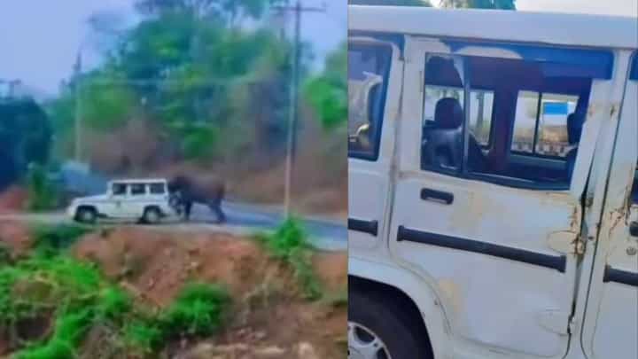 ಅರಣ್ಯ ಇಲಾಖೆ ಜೀಪನ್ನೇ ಅಟ್ಟಾಡಿಸಿ ಅಟ್ಯಾಕ್ ಮಾಡಿದ ಕಾಡಾನೆ! ಡ್ರೈವರ್ ಜಸ್ಟ್ ಮಿಸ್, ವೀಡಿಯೋ ನೋಡಿ ಅರಣ್ಯ ಇಲಾಖೆ ಜೀಪನ್ನೇ ಅಟ್ಟಾಡಿಸಿ ಅಟ್ಯಾಕ್ ಮಾಡಿದ ಕಾಡಾನೆ! ಡ್ರೈವರ್ ಜಸ್ಟ್ ಮಿಸ್, ವೀಡಿಯೋ ನೋಡಿ