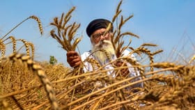ಪಿಎಂ ಕಿಸಾನ್ ಸ್ಕೀಮ್; 22ನೇ ಕಂತಿನ ಹಣ ಬಿಡುಗಡೆ
