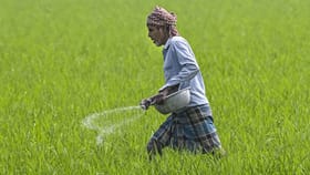 ಪಿಎಂ ಕಿಸಾನ್: ಈ ವಾರವೇ ಸಿಗುತ್ತಾ 22ನೇ ಕಂತಿನ ಹಣ?