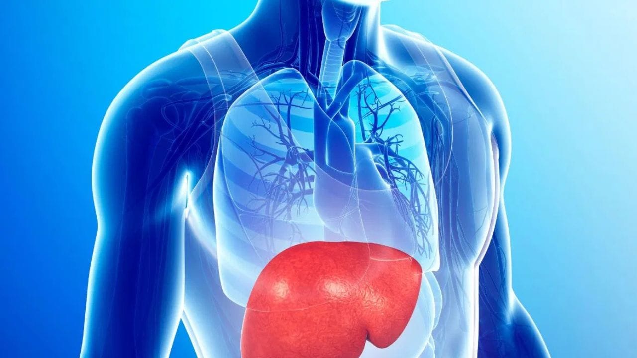 ಫ್ಯಾಟಿ ಲಿವರ್ ಯಾವಾಗ ಅಪಾಯಕಾರಿಯಾಗಬಹುದು? ಲಕ್ಷಣಗಳು ಹೇಗಿವೆ ಎಂಬುದನ್ನು ತಿಳಿದುಕೊಳ್ಳಿ