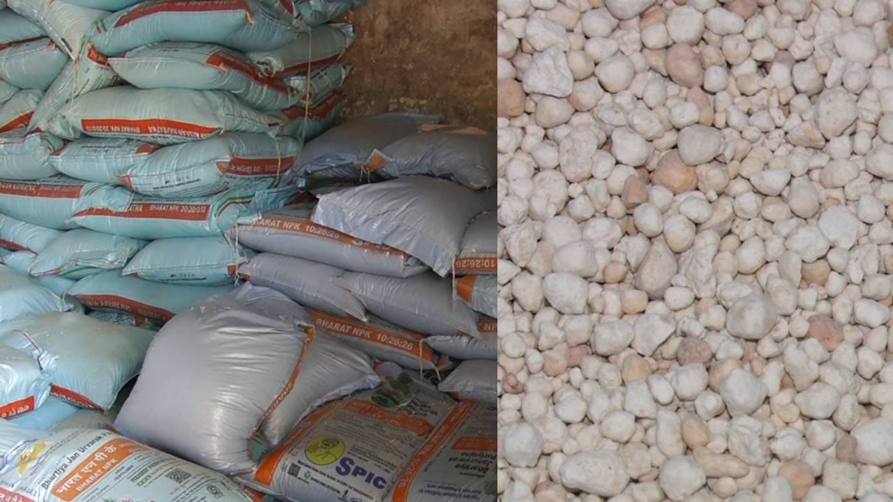 ರಾಜ್ಯದಲ್ಲಿ ಗ್ಯಾಸ್ ಸಿಲಿಂಡರ್ ಬೆನ್ನಲ್ಲೇ ರಸಗೊಬ್ಬರ ಅಭಾವ ಆತಂಕ: ಸೂಕ್ತ ಕ್ರಮಕ್ಕೆ ಆಗ್ರಹ