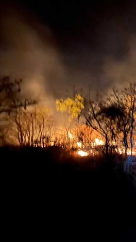 ಜಮಖಂಡಿ ಕಾಡಿನಲ್ಲಿ ಬೆಂಕಿ, 4 ಕಿ.ಮೀ ಆವರಿಸಿದ ಬೆಂಕಿಯ ಕೆನ್ನಾಲಿಗೆ!