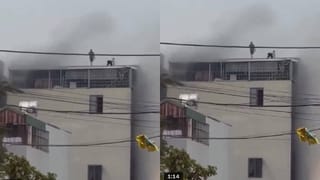 ಯುವಕನ ನೃತ್ಯಕ್ಕೆ ಮರುಳಾದ ಗಜರಾಜ! ಕಾಡಾನೆಯೂ ಹೆಜ್ಜೆ ಹಾಕಿದ ಅಪರೂಪದ ದೃಶ್ಯ