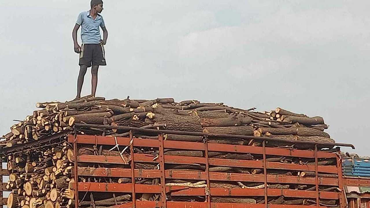 ಎಲ್‌ಪಿಜಿ ಸಿಲಿಂಡರ್ ಕೊರತೆ ಬೆನ್ನಲ್ಲೇ ಅರಣ್ಯ ಇಲಾಖೆ ಅಲರ್ಟ್ ಆಗಿದ್ಯಾಕೆ ಗೊತ್ತಾ?
