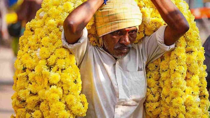 ಹೂ ಬೆಳೆಗಾರರ ಅನ್ನ ಕಸಿದ ಅಕಾಲಿಕ ಮಳೆ